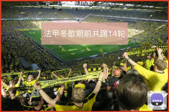 法甲冬歇期前共踢14轮